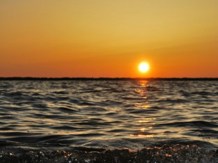 body of water wave photo during golden time